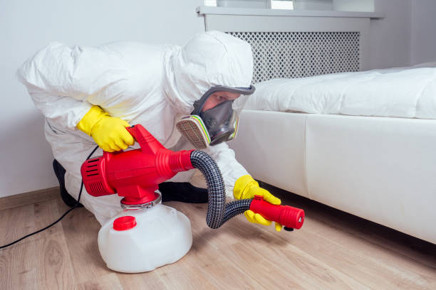 Best Pest Prevention Services  in Fruitland Park, FL